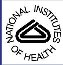 National Institutes of Health